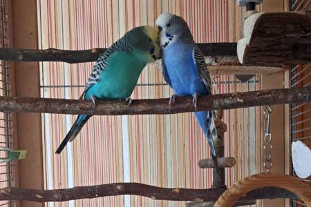 Paul und Paula
